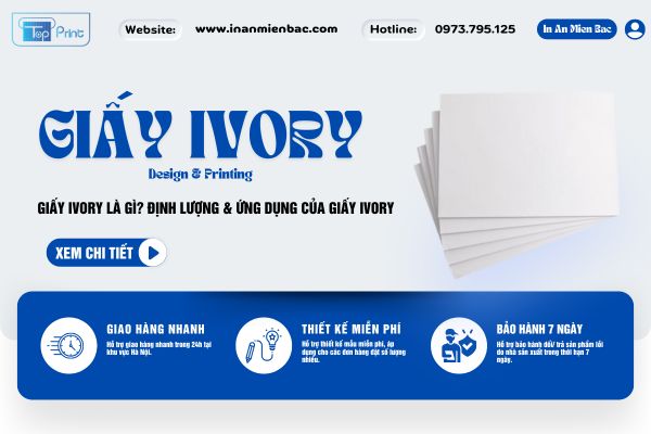 Giấy Ivory là gì? định lượng & ứng dụng của giấy Ivory trong in ấn